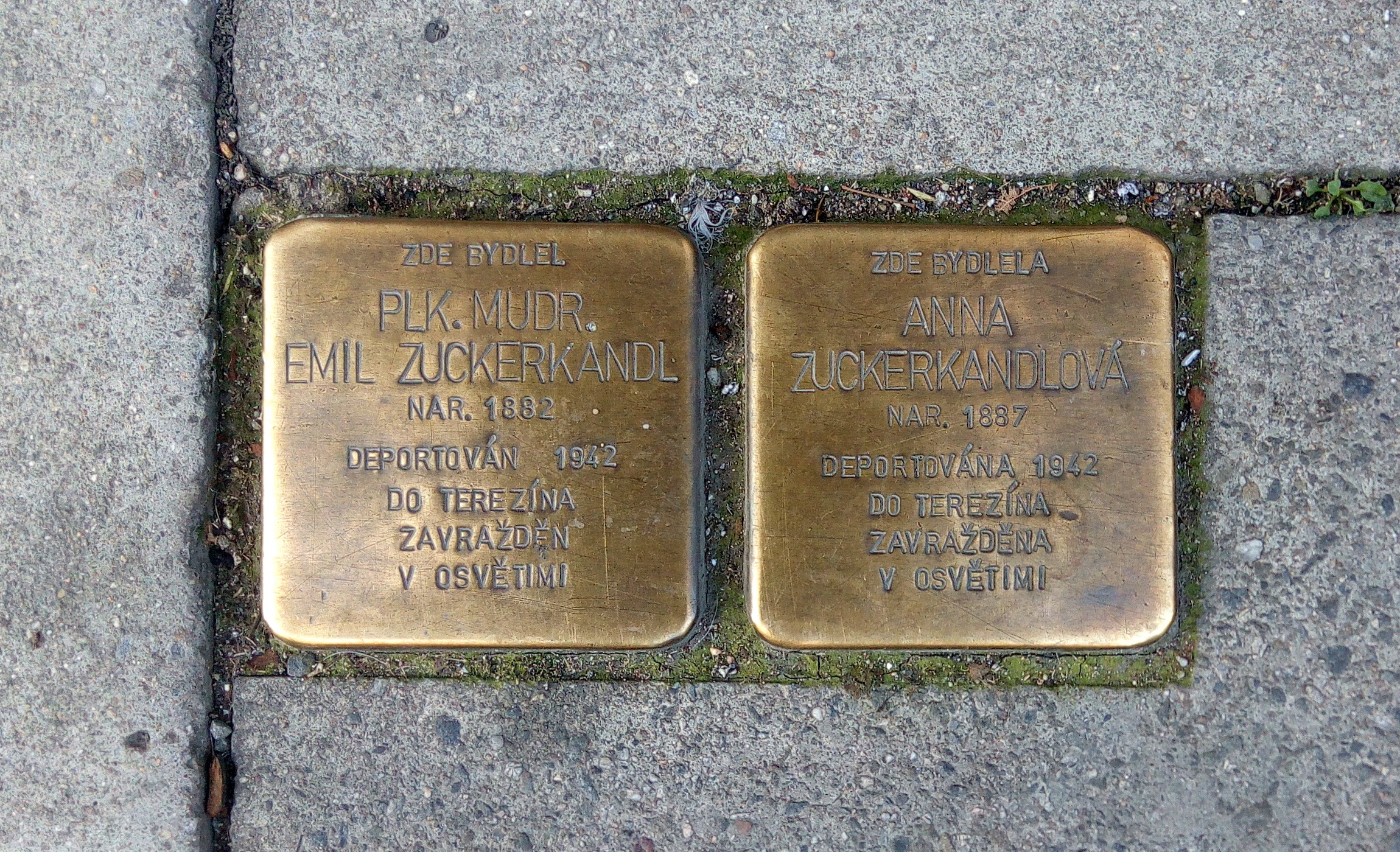 Stolpersteine, Olomouc - © Cheva