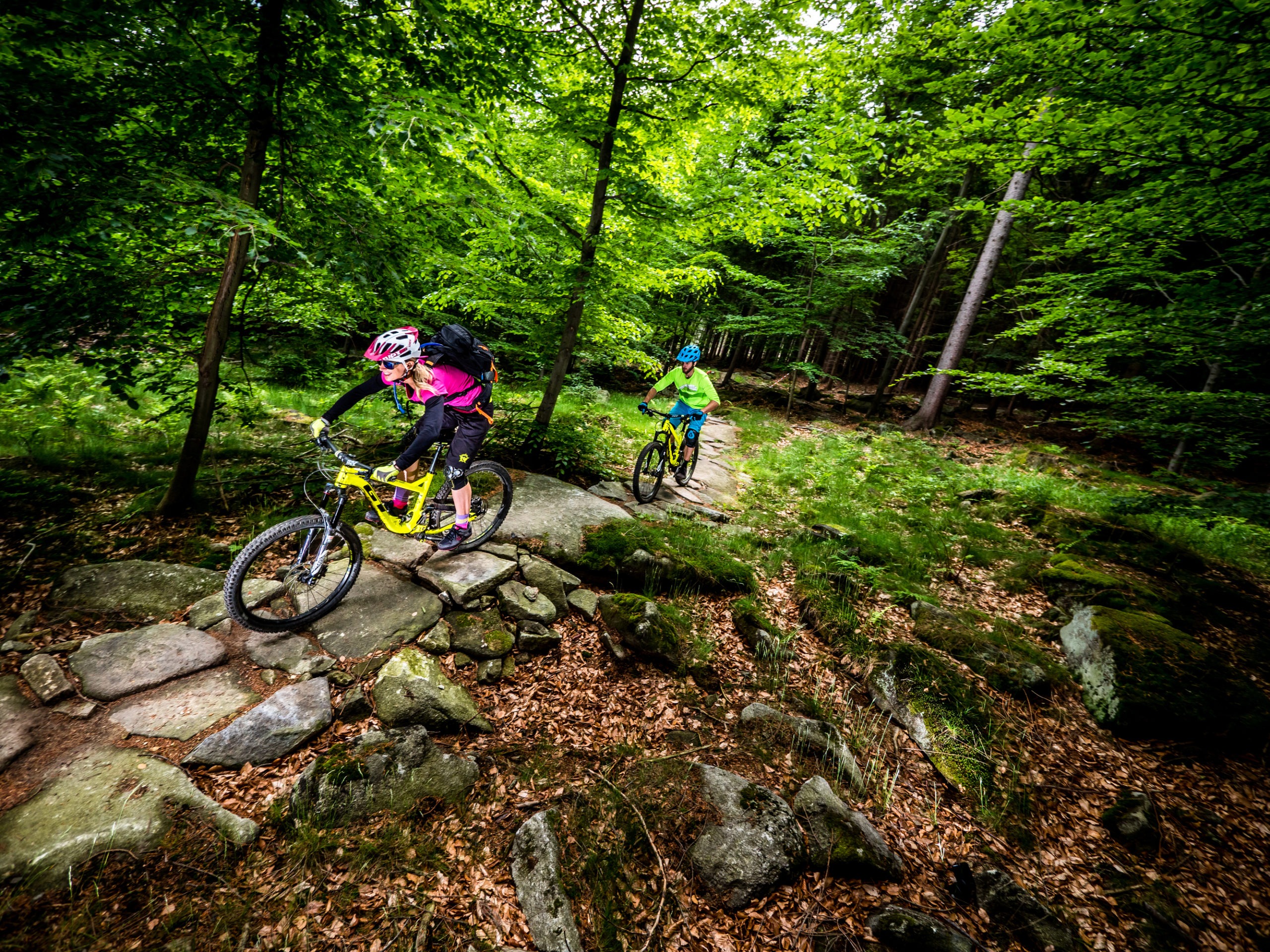 Cycling in the forest - © Petr Slavík