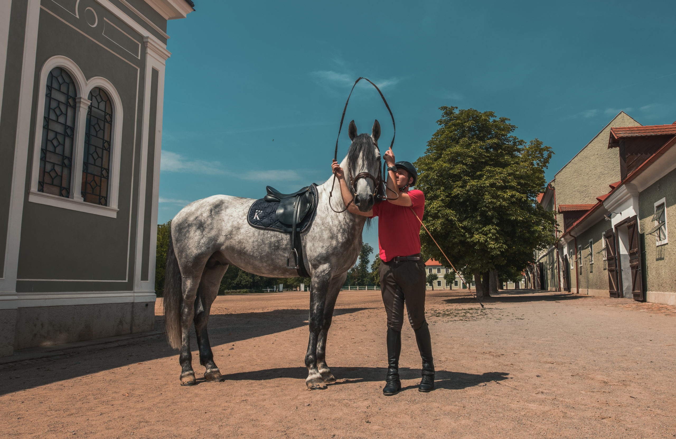 The stud farm in Kladruby nad Labem - © Jakub Kynčl