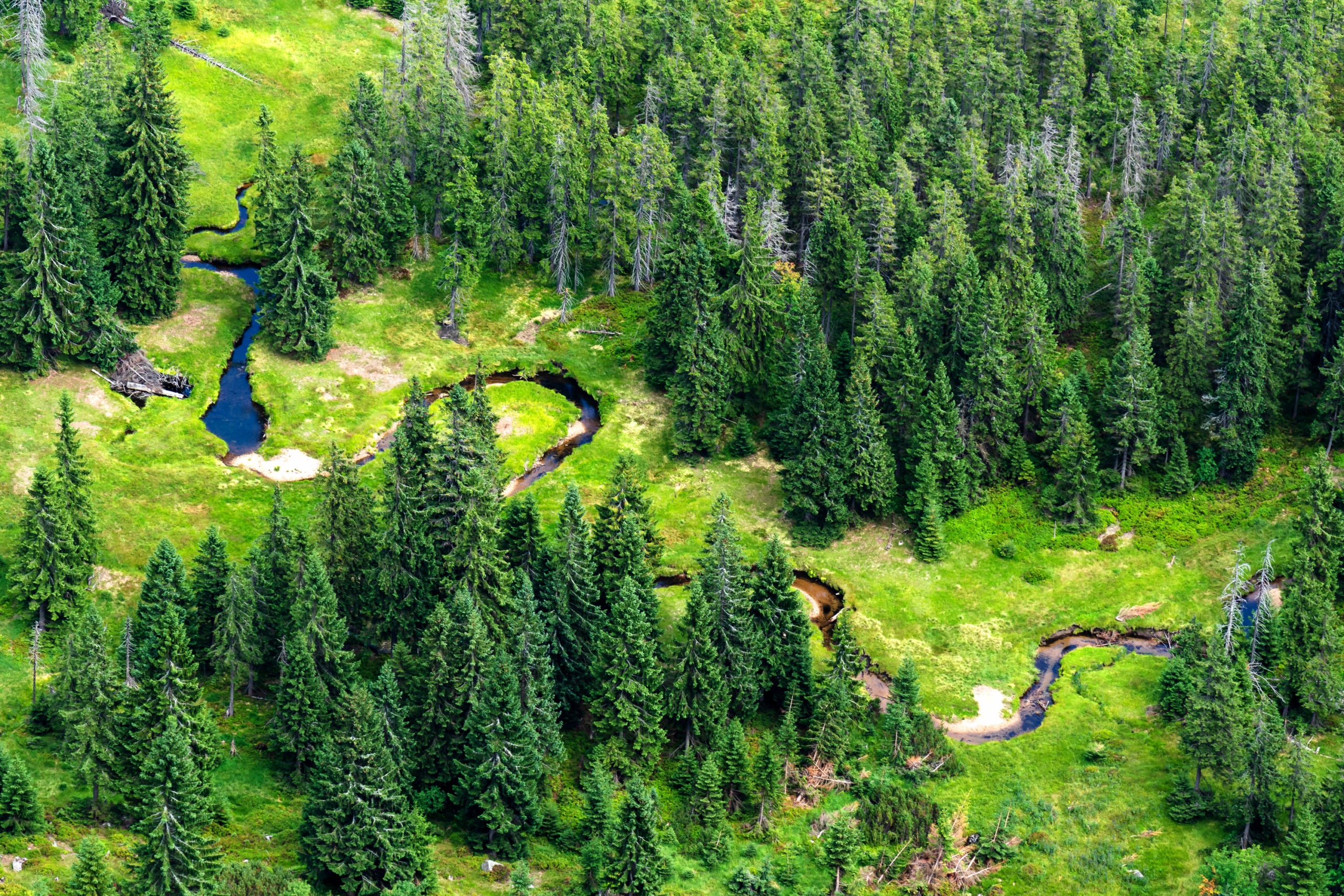 Krkonoše, Labe - © Milosz Maslanka