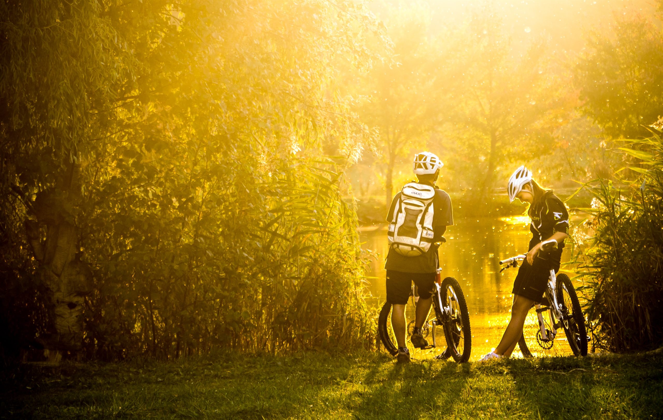 Cycling in the Slovácko region - © Petr Slavík